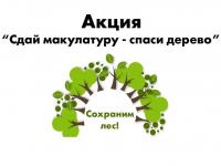 «Сдай макулатуру – спаси дерево!»